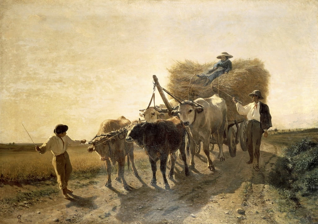 Il raccolto